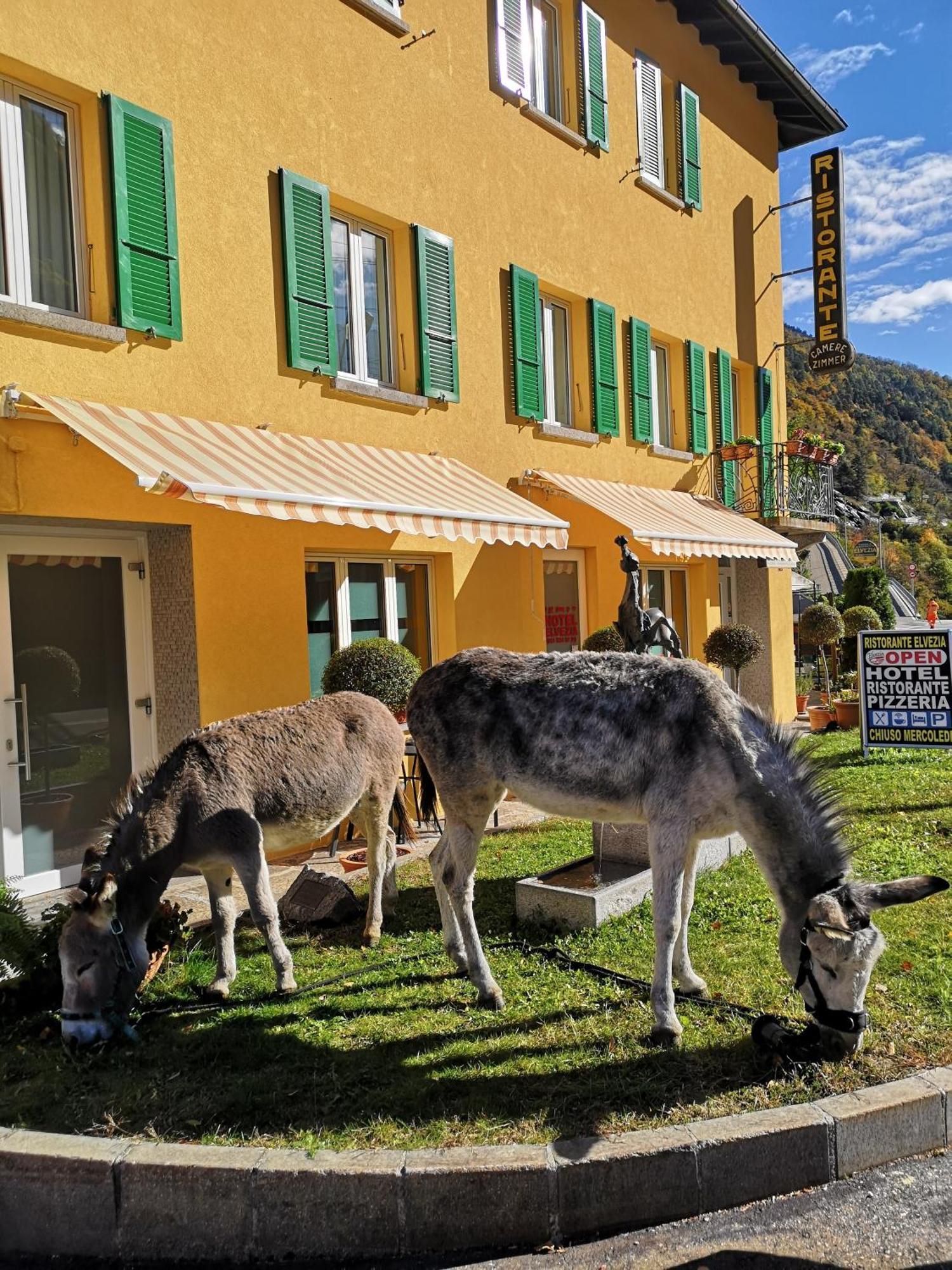 Hotel Elvezia Lavorgo Buitenkant foto